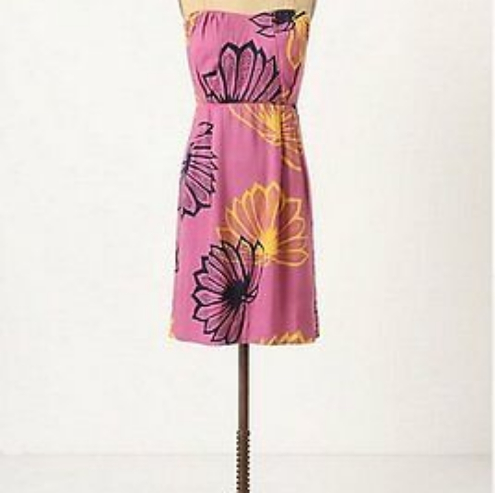 Beautiful sariah Anthropologie corset sun dress